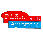 Αμύνταιο 91.2 favicon