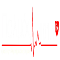 Παλμός 94,9 favicon