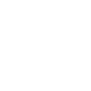 Dream City favicon