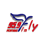 Fly 95.9 favicon