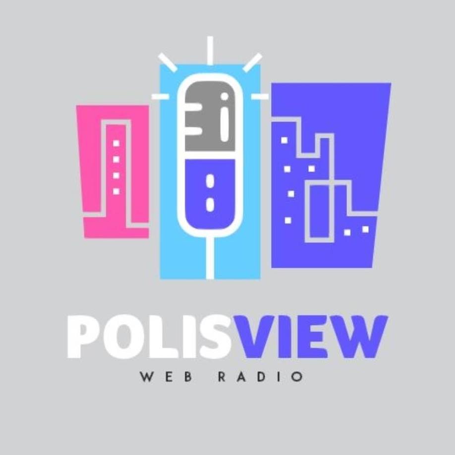 PolisView favicon