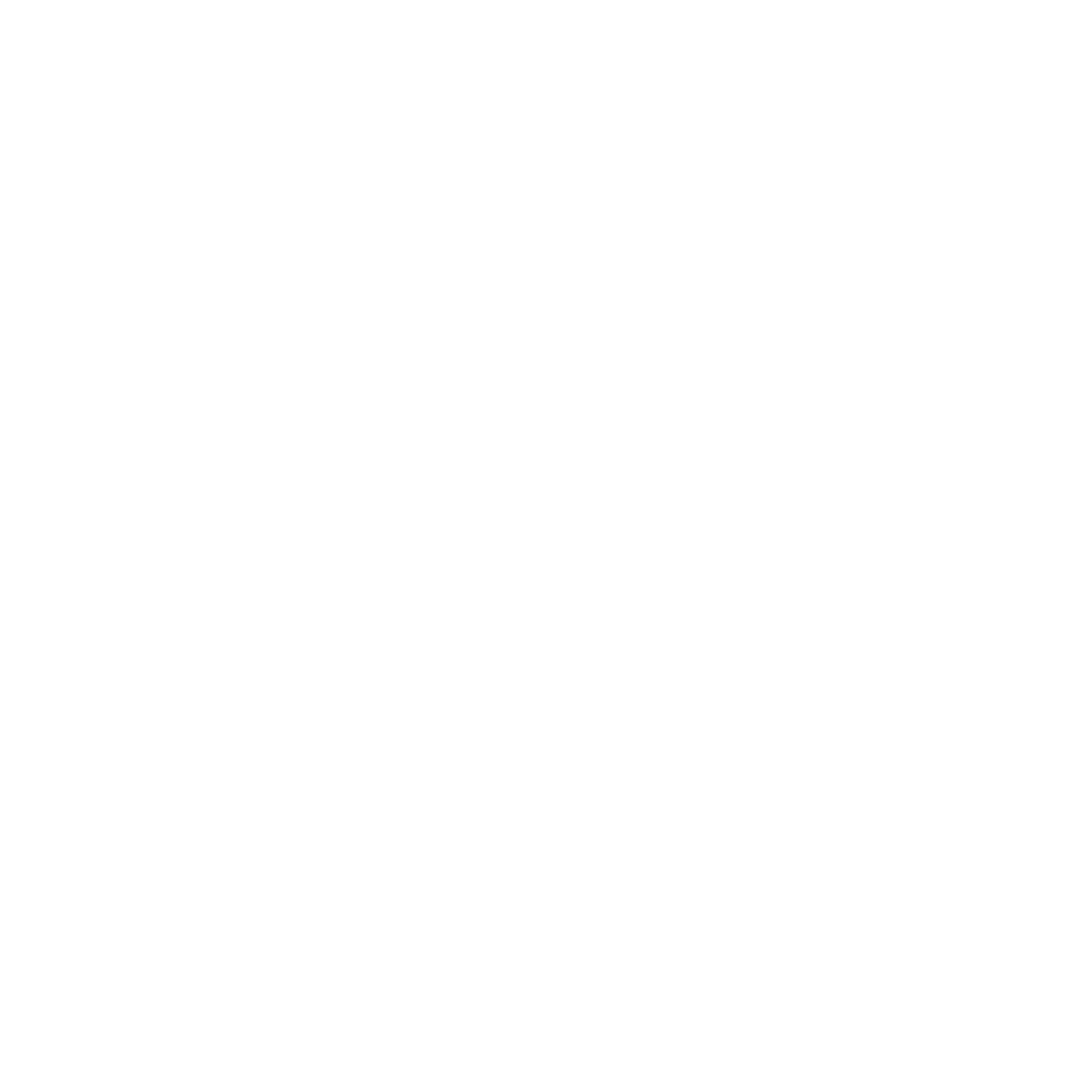 Radio Pirate Live favicon