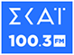 SKAI 100.3 favicon